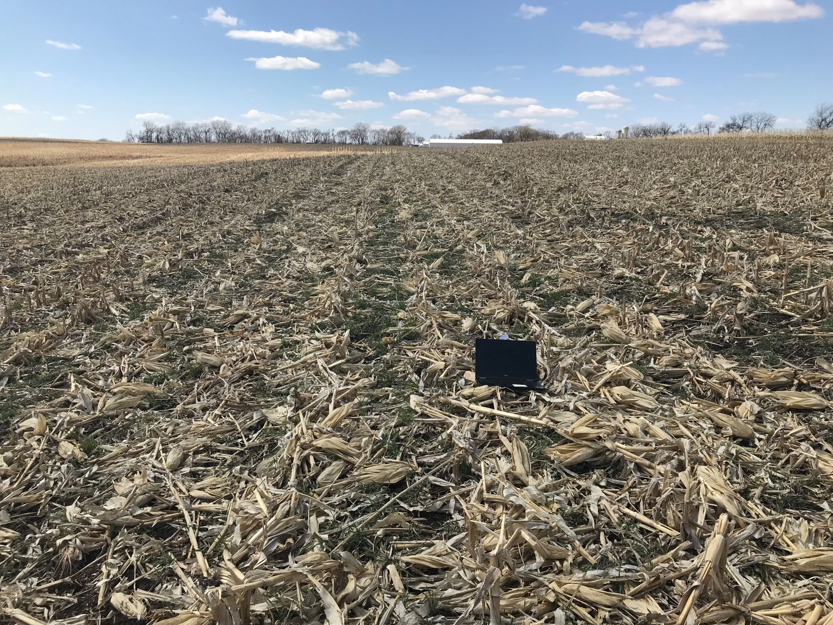 Remote field view
